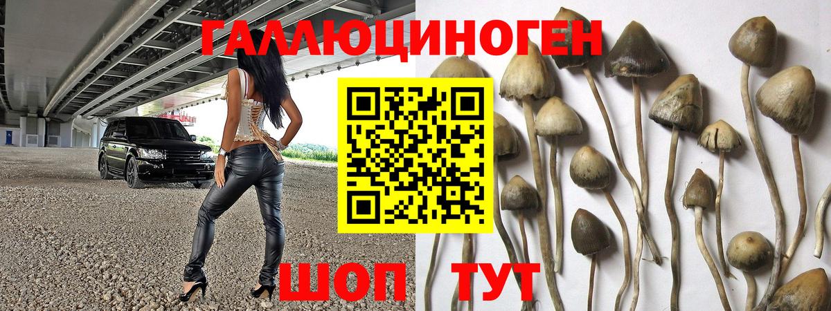 Галлюциногенные грибы мухоморы Казань