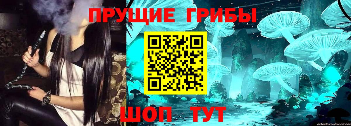 Казань  Псилоцибиновые грибы прущие грибы  Вход с VPN  Псилоцибиновые грибы ЛСД 